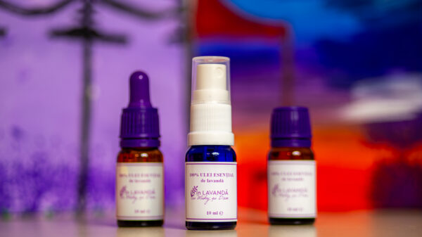Ulei esențial de lavandă 100% pur – sticluță 10 ml - imagine 2
